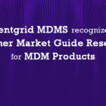 Fluentgrid recognized in Gartner Market Guide for Meter Data Management Products